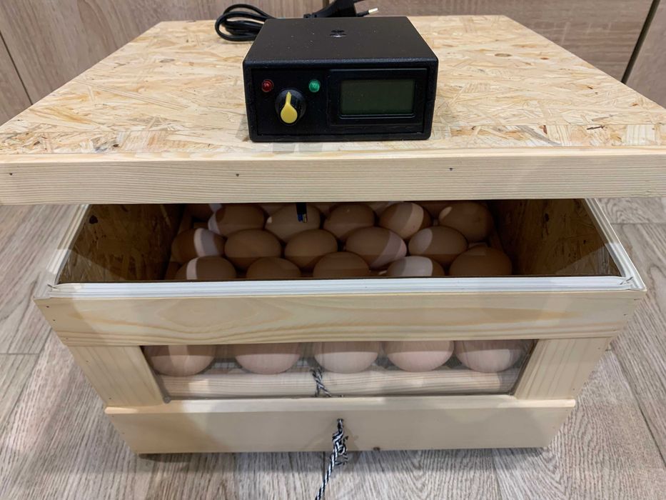 Inkubator klujnik 40 jaj matki pszczele