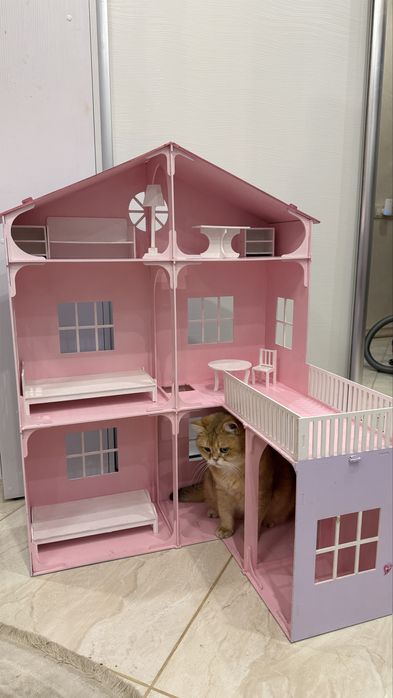 Ляльковий будинок