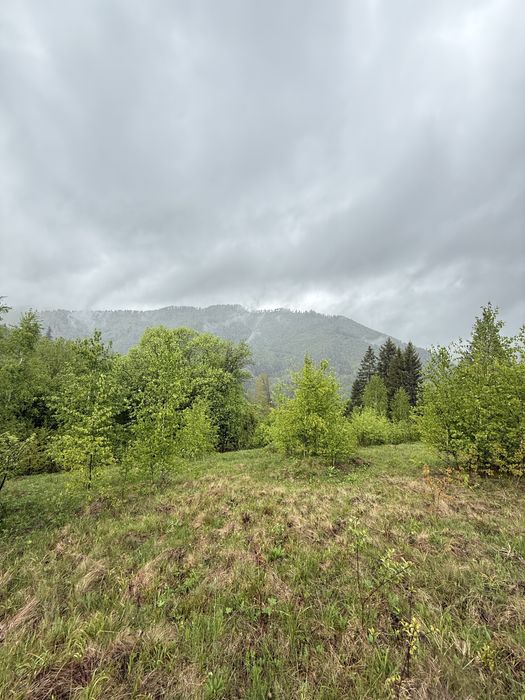 Земельна ділянка Славсько 37.5 соток