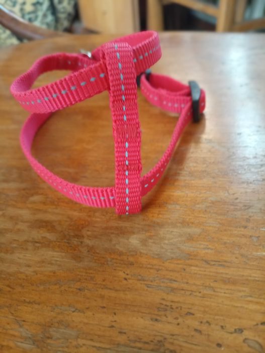 Шлейки для собаки или кота