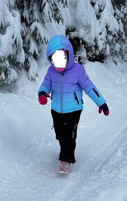 Лыжный костюм комбинезон, полукомбинезон, куртка Northville