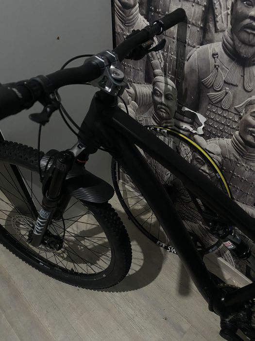 Rower musing petrol 3