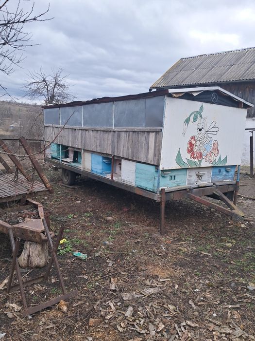 Продам пасіку пересувну