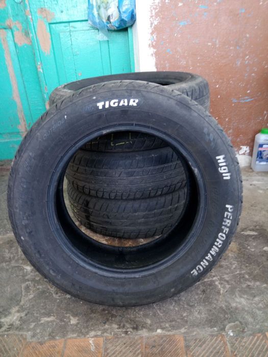 Шини на Skoda Octavia 2004 1.6 універсал літня