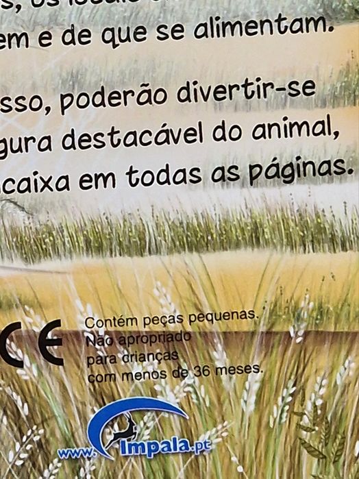 O Elefante . Novo