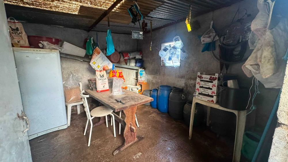 Quinta / Terreno Rústico para Venda – Palvarinho, Salgueiro do Campo