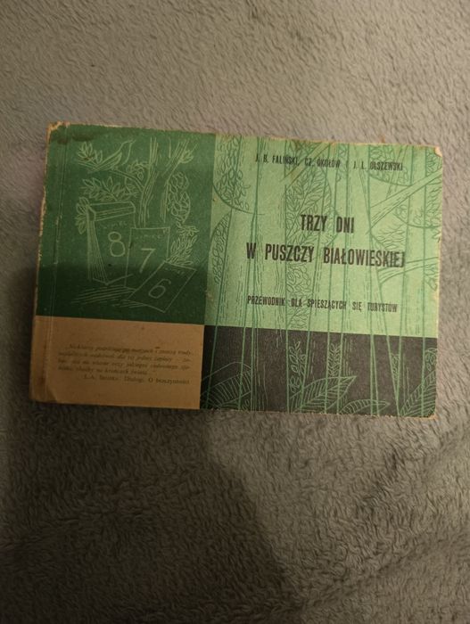 Trzy dni w Puszczy Białowieskiej