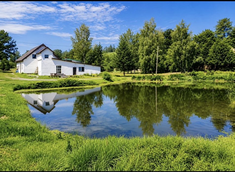 Nieruchomosc do wynajecia z przeznaczeniem na hotel/ pokoje goscinne
