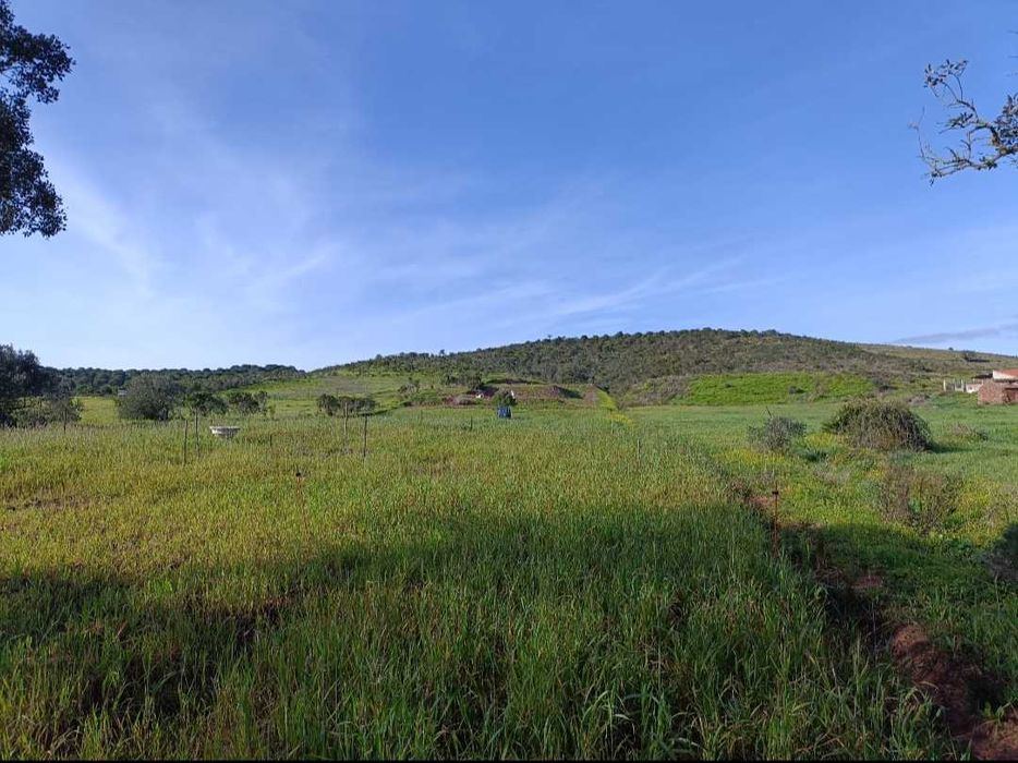 Terreno rústico, um hectare com furo de água