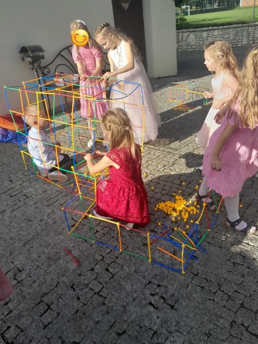 Aniamator-Anna Zbrzyzny czyli animacje dla dzieci od A do Z, animator