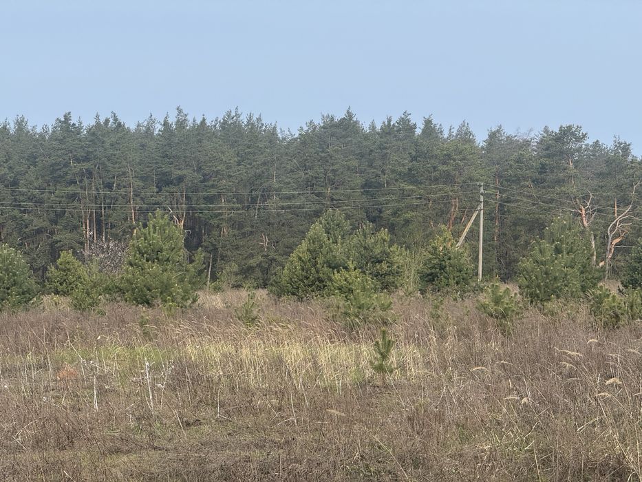 Продам ділянки від 6 соток, світло, інтернет, 4 хв до Броварів без% ціна за сотку!