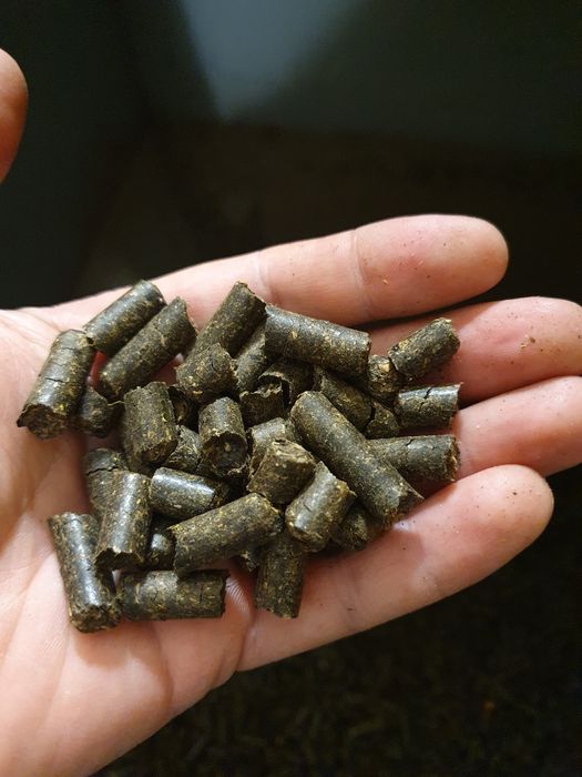 Топлиная гранула