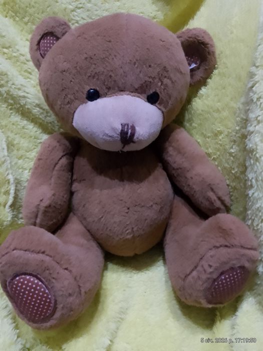 М'які ведмеді, іграшки