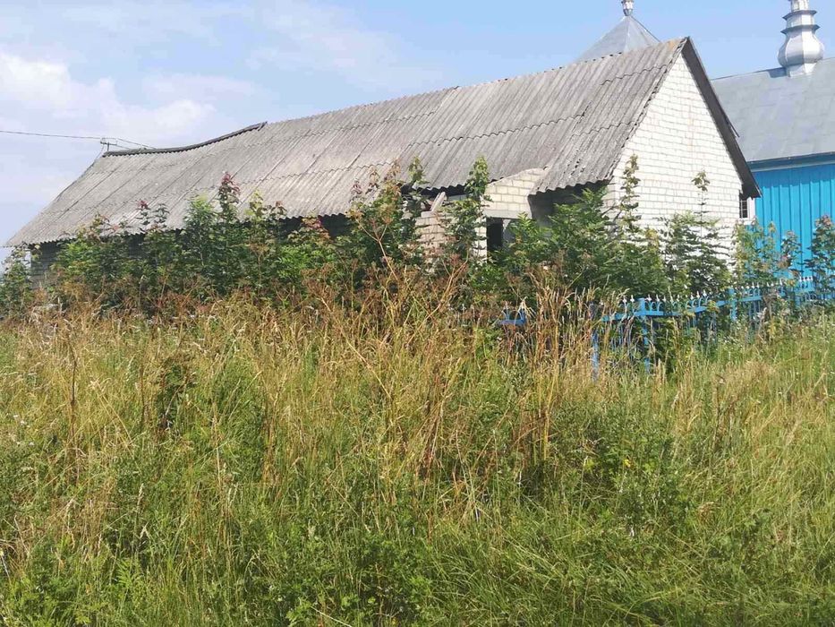 Будино біля озера, перша лінія