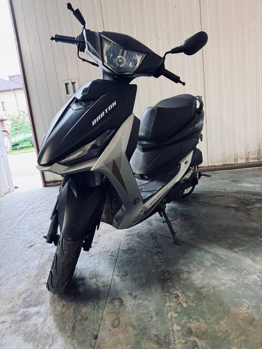 Barton 50 cm 2022 rok