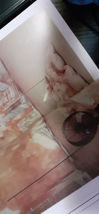 Arte.Catálogo Bienal Documenta kassel