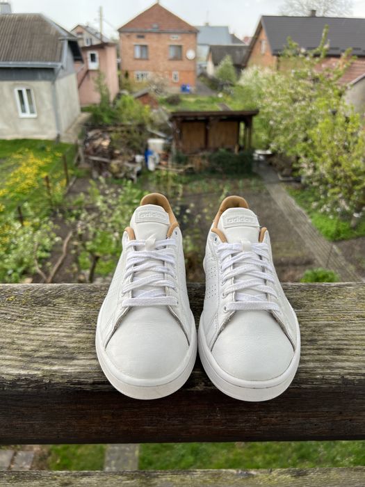 Кросівки Adidas (42)