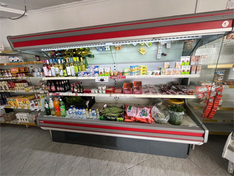 Arca de frio Mafirol usada