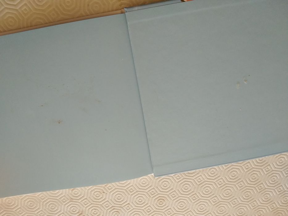 Livro Um Dia... Editorial Presença