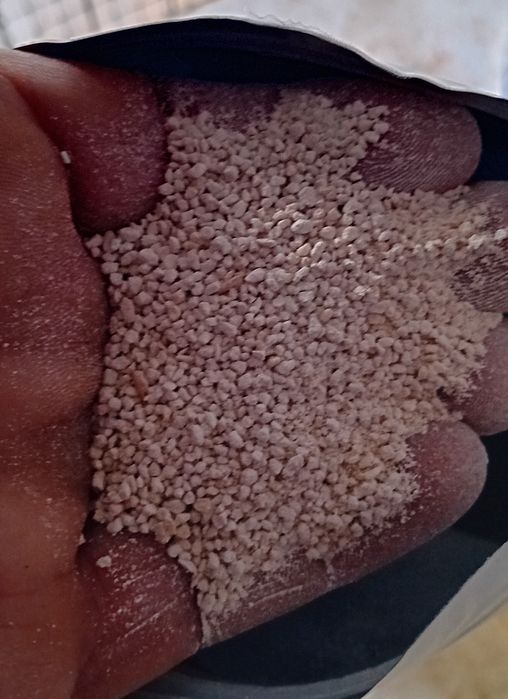 Grite Cálcio para aves