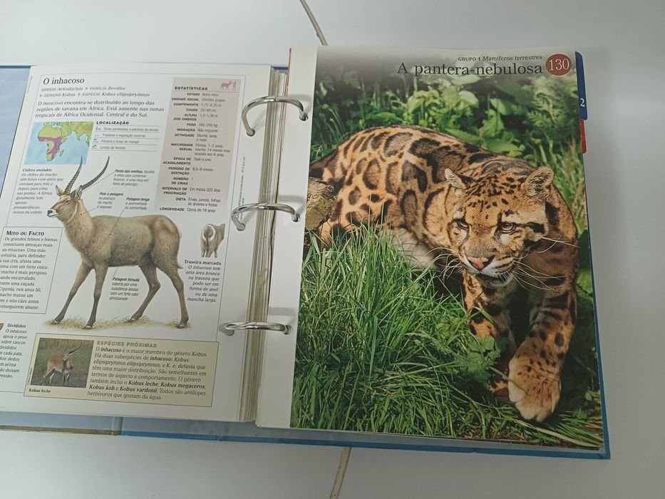 O Fascinante Mundo Animal 1 volume