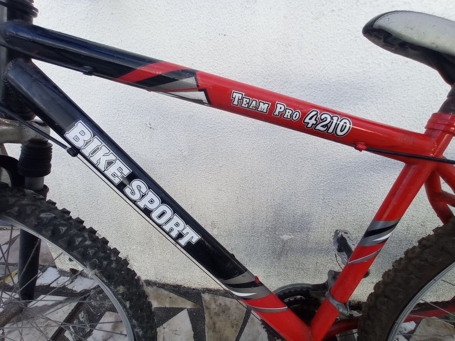 Bicicleta de adulto