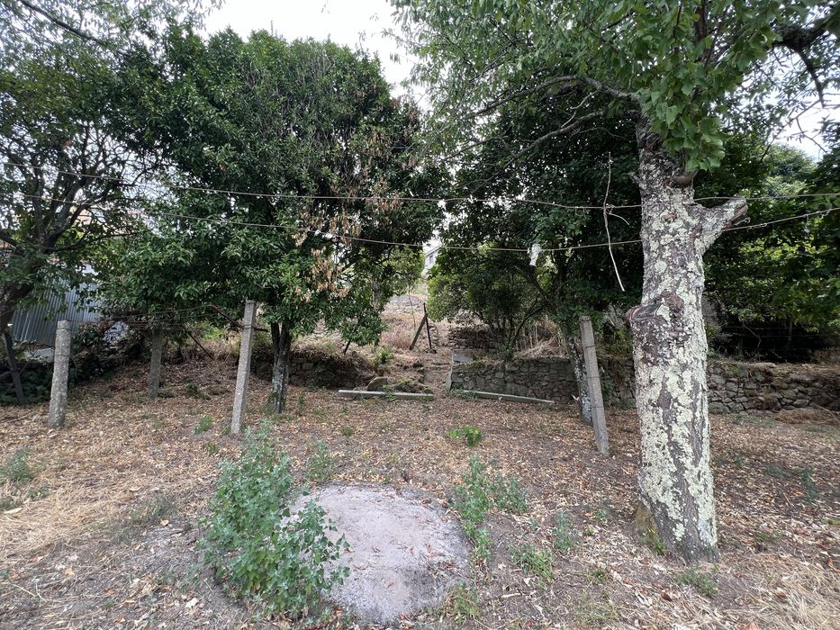 Terreno de Lazer com Vista Panorâmica para o Rio Paiva (1.005 m²) – Souselo, Cinfães
