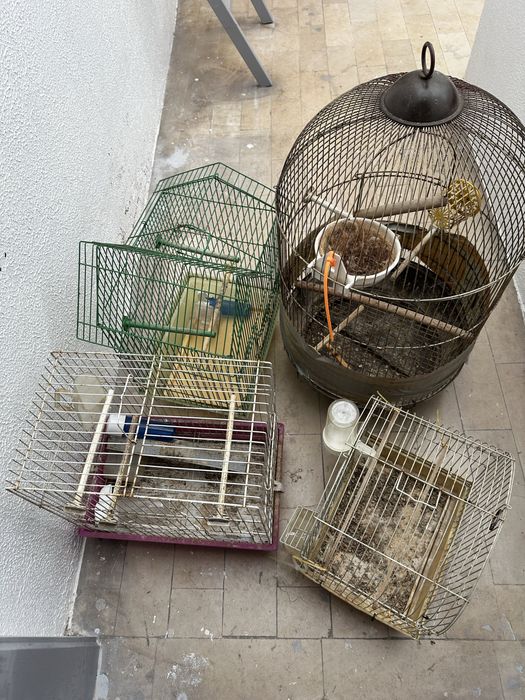 Vendo 4 gaiolas em bom estado