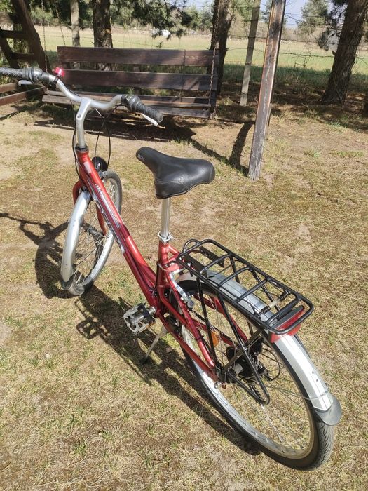 Rower młodzieżowy damka ,,Delta"