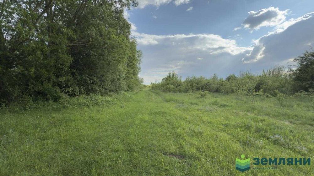 Продається ділянка 27 сот в с. Березівка (7)