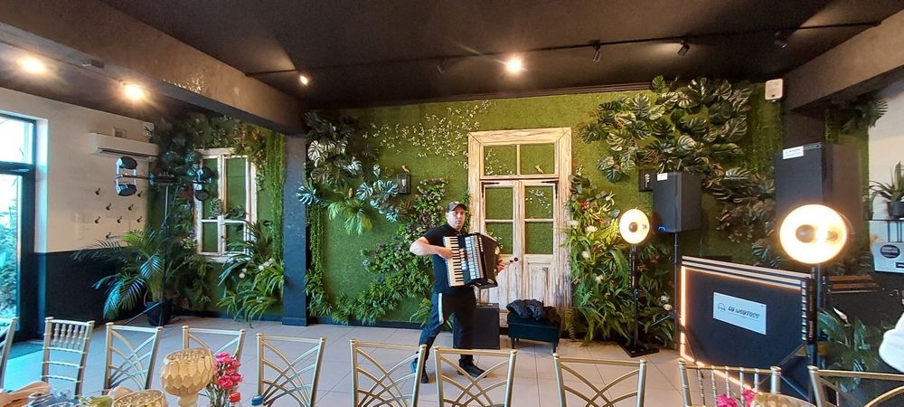 Dj,Wodzirej, Akordeonista