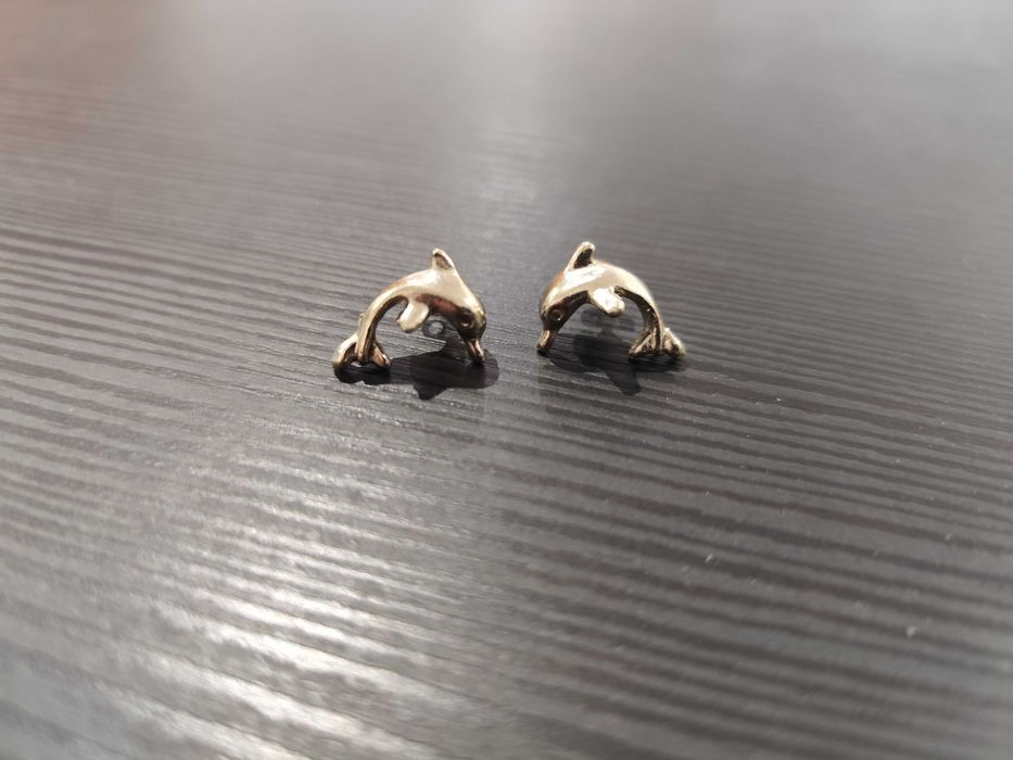 Brincos golfinhos prateados