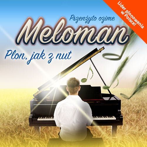 Pszenżyto ozime Meloman C1 - Plon, jak z nut - nasiona pszenżyta - Hodowla HR Strzelce