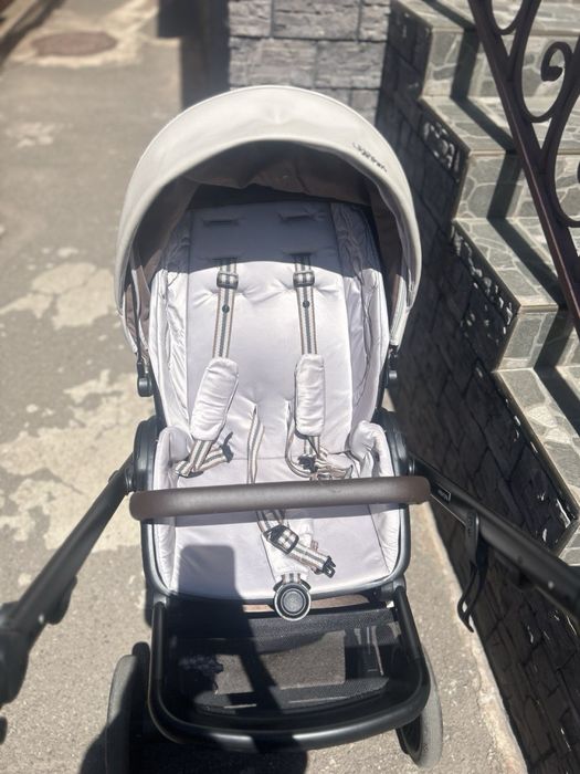 Детская коляска Anex Eden limited edition