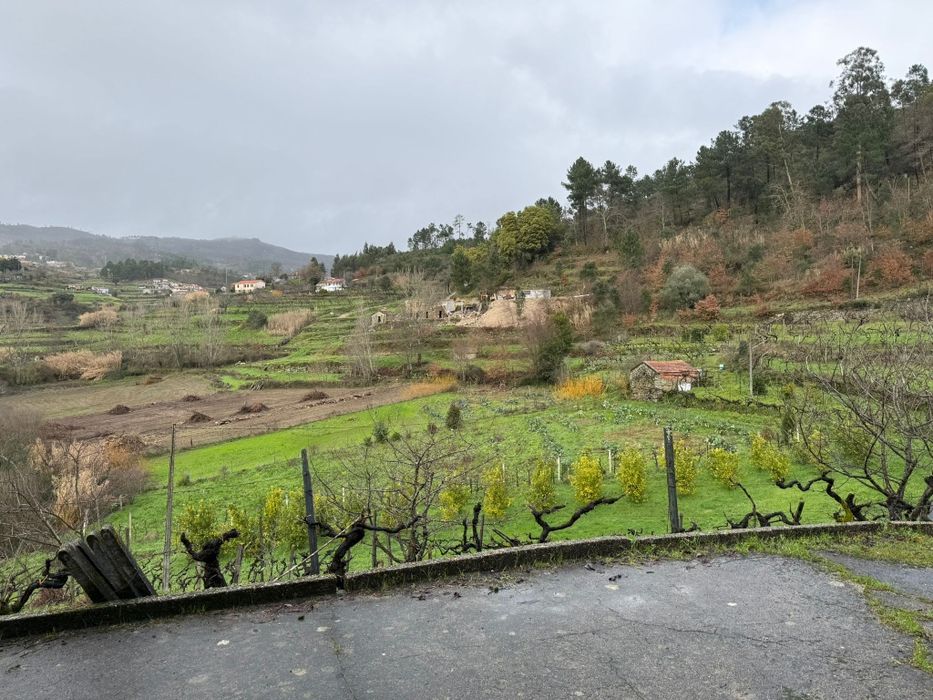 Quinta  6500 m2.