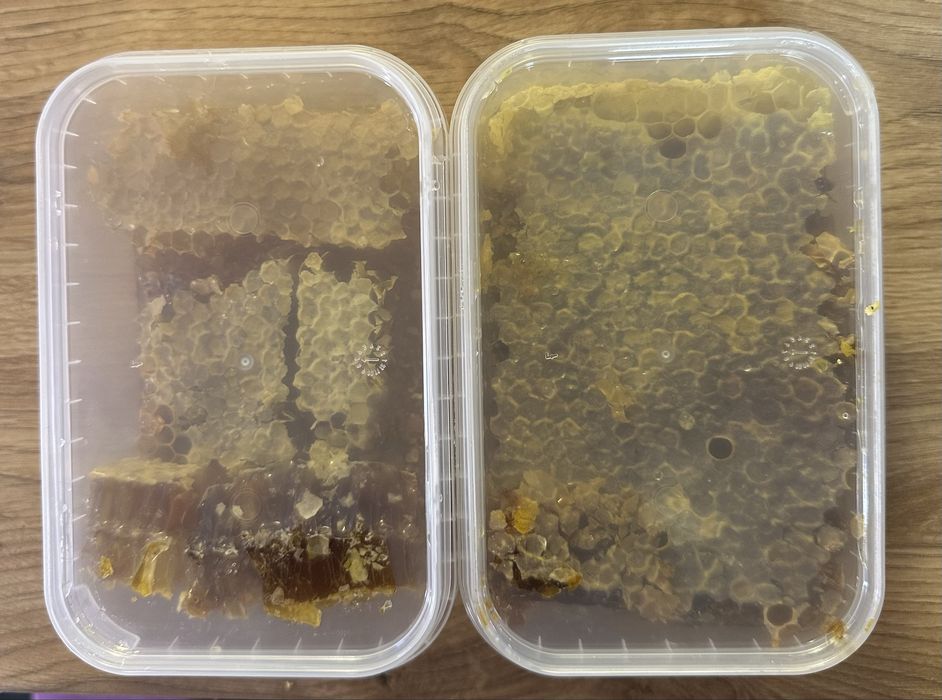 Мед в сотах натуральний