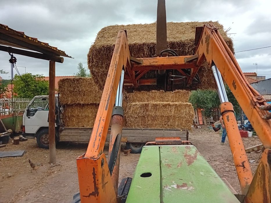 Vendo feno de azevem