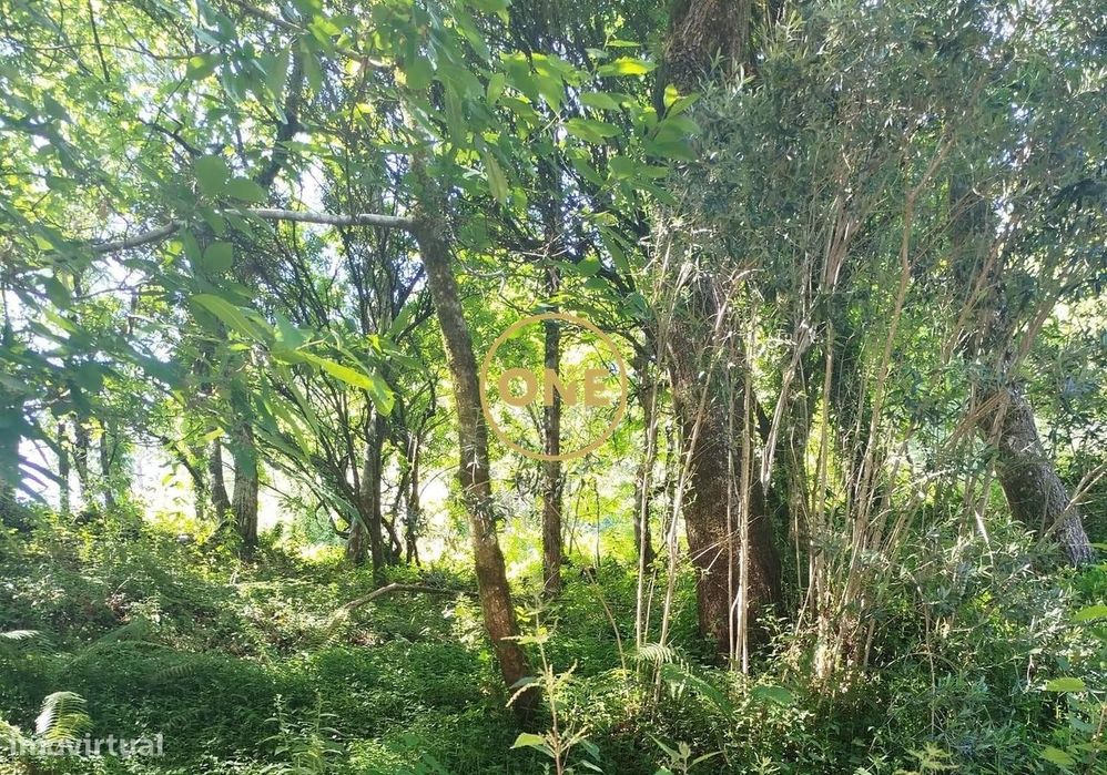 Terreno Rústico com 288m2 em Seramil