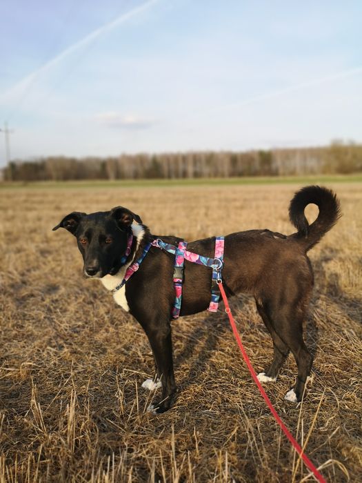 Delikatna i radosna Zosieńka