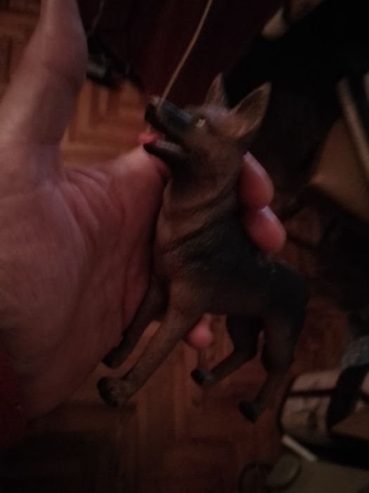 Boing! Boing! Want to take the leap? Become the King? Rope for the leap 7E - Skirt 2E Starting at 2E64739670356355124