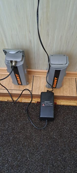 Rower elektryczny Giant