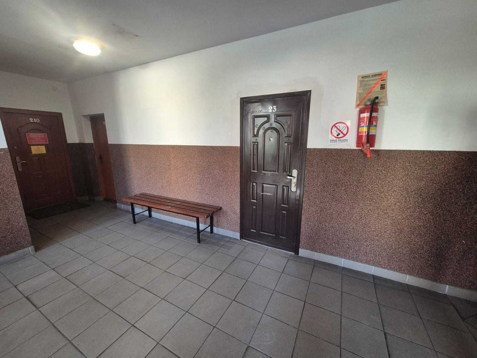 Lokal do wynajęcia