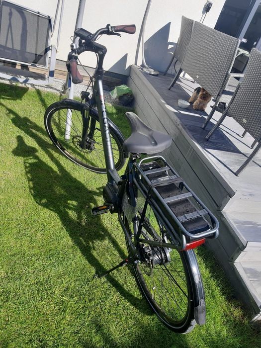 Rower elektryczny Pegasus
