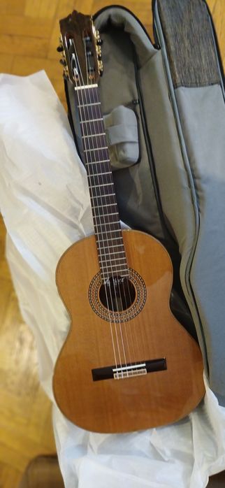 Gitara Martinez MC88C 7/8