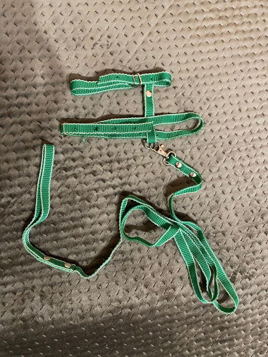 Шлейка з повідцем для котів нейлонова