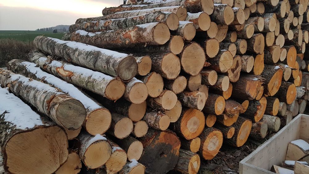 Drewno opałowe kominkowe