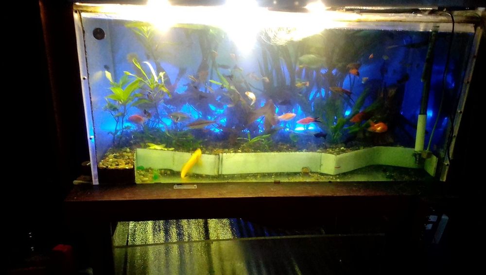Продам аквариум в Шостке