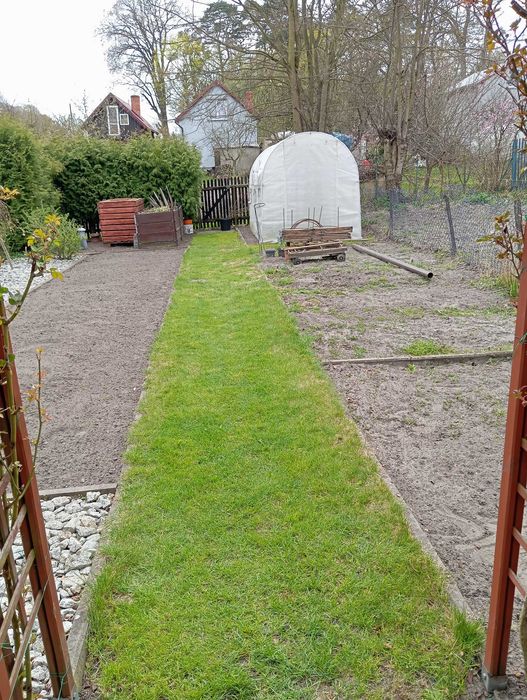 Sprzedam działkę ROD „Jedność” w Skokach – 350 m².
