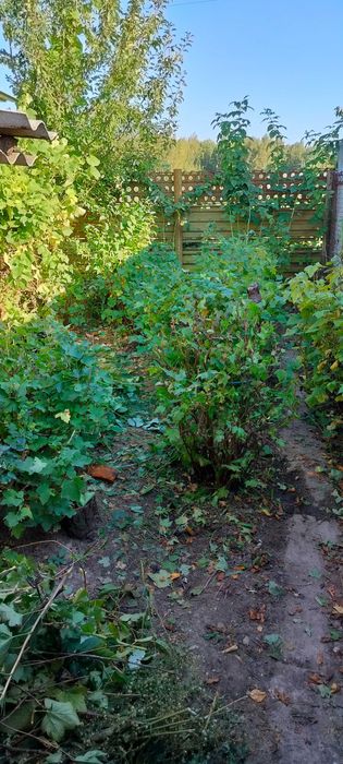 Гараж в " Авіаторі"