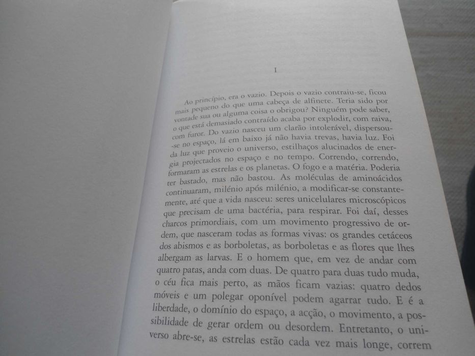 A Alma do mundo por Susanna Tamaro